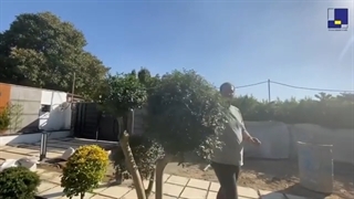 فضای سبز (قسمت 3)