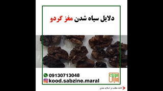 دلایل سیاه شدن مغز گردو_مشاوره واتساپ 09130713048_سبزینه مارال یزد
