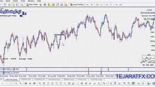 تریگر پرایس اکشن تشخیص پیوت ها