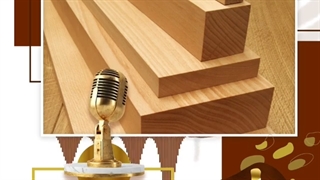 موضوع : چوب راش چیست؟