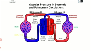 مقدمات بیماری های تنفس جلسه 15 (آخر)