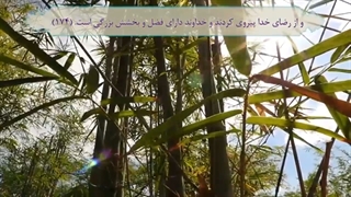 صبحگاه چارشنبه