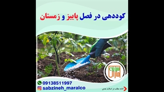 کوددهی در فصل پاییز و زمستان_مشاوره واتساپ 09138511997_سبزینه مارال یزد