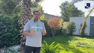 نخل یا پالم (قسمت 2)