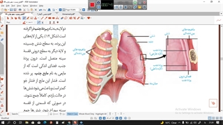 گفتار۲-دستگاه تنفس
