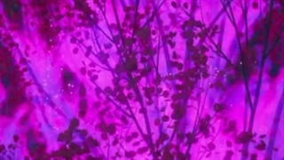 سریال کاملیا فصل دوم قسمت هفدهم