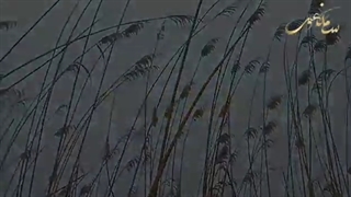 بالابان و دودوک