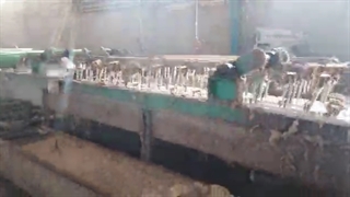 بازدید مهندس سوری از کارخانه پشم شویی09121865671