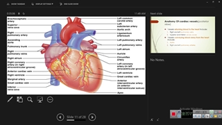 مقدمات بیماری های قلب جلسه 1 پارت 1