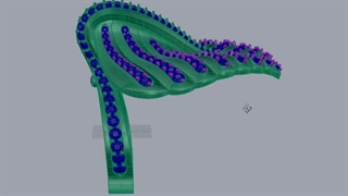 طراحی انگشتر