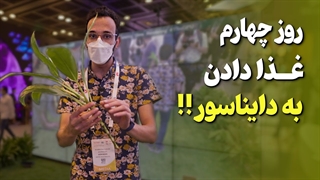 به دایناسور غذا دادم