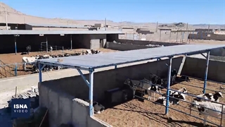 دامداران خراسان جنوبی در دام مشکلات