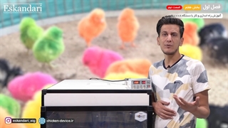 دستگاه جوجه کشی 1008 تایی (فصل اول - بخش هفتم- قسمت دوم)