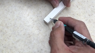 section 2 part1 canine