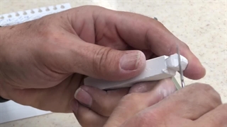 Section 2 part 2 canine