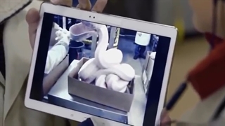 خط تولید ناگت مک دونالد