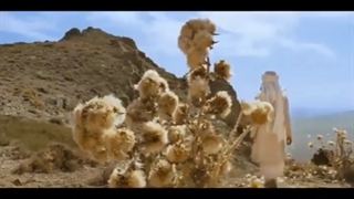 م ح م د(ص).سامی یوسف