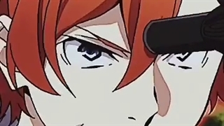 سگ های ولگرد بانگو