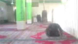 شوخی خیلی خیلی خنده دار (خنده دار)