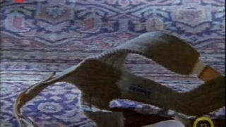 هشدار برای کبرا 11 فصل 7 قسمت 6