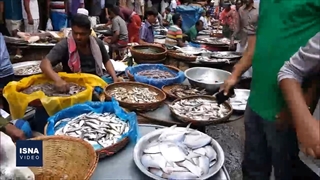 افزایش چشمگیر تولید غذای دریایی در جهان طی نیم قرن