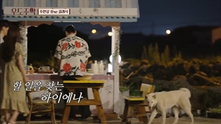 قسمت 9 (آخر) برنامه مهمانسرای ماه عسل Honeymoon Tavern 2021 با حضور کای اکسو و کیم هی سون + زیرنویس فارسی