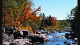 گروه خونی O قدیمی ترین گروه خونی تاریخ بشر است یعنی ما اصیل ها هستیم