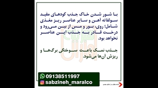 ریختن نمک پای درخت گردو_مشاوره واتساپ09138511997_سبزینه مارال