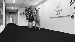 موکت اداری تایلی پاراگون انگلستان طرح panther در کارپت لند