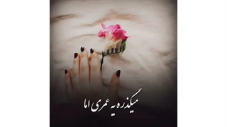 استوری عاشقانه ♥️