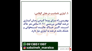 دلایل اصلی مرگ درختان گیلاس_مشاوره واتساپ09138511997_سبزینه مارال یزد