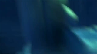 شکارچی‌ترول‌طنز