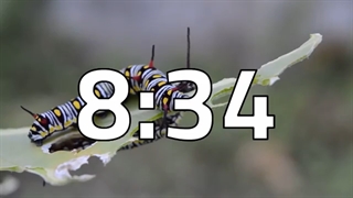 شمارش معکوس10دقیقه( بدون صدا)