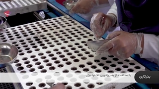 از کاشت بذر تا انتقال بوته به سالن در کمتر از سه دقیقه در گلخانه هیدروپونیک آتاویتا