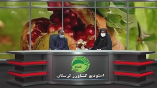 عوامل خسارتزای انار