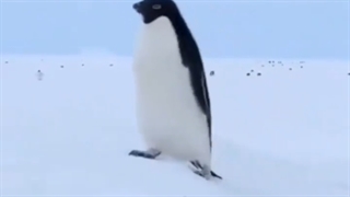 من وقتی میخوام واکسن بزنم XD