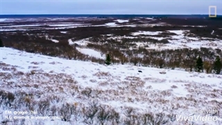 تیزر رمان عصیانگر قرن