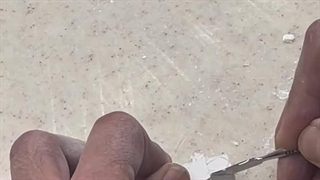 مورفولوژی عملی جلسه اول ۲