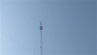 عملیات نجات یک دلیجه میان دکل مخابرات کل زندان‌های بوشهر