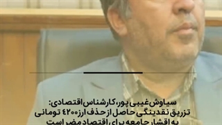 پرداخت مابهالتفاوت حذف ارز ترجیحی به صورت کالایی یا خدماتی