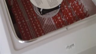 فروش مستقیم دستگاه های جوجه کشی خانگی و صنعتی09910153884