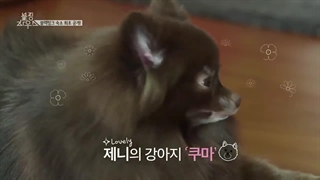 خانه بلک پینک