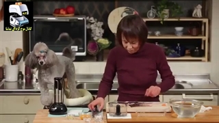 ساتسوما تخم مرغی ، غذای ژاپنی - موج کره ای