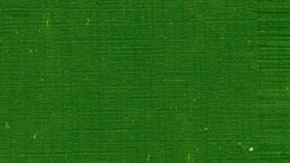 دانلود ویدئو /موشن گرافیک جنس ما از جنس خداست ...