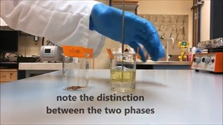 تشکیل امولسیون پایدار آب و روغن به کمک امولسیفایر لسیتین