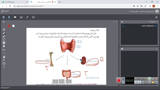 قسمت دوم فصل 6  تنظیم هورمونی ( علوم هشتم)