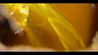 مراحل تولید صنعتی سس خردل