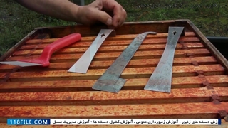 آموزش زنبورداری حرفه ای - آموزش زنبورداری - روش یافتن ملکه