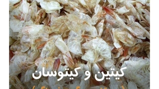 کیتوسان در شیمیایی تهران