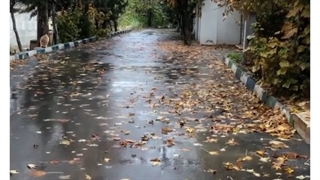 پائیز را ساده منگر